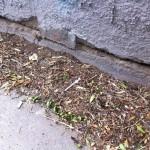 fotó 2 (1)